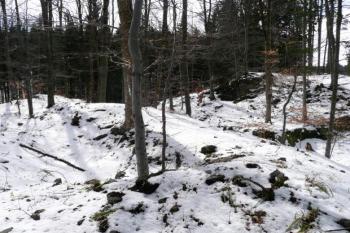 pohled přes pozůstatek čelní hradby předhradí na první příkop v čele dispozice ( © Jan P. Štěpánek 03/2008)