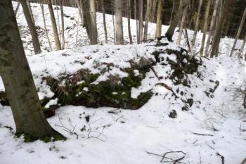 část zachovalého úseku kamenné hradby pokračující od věže k severovýchodu ( © Jan P. Štěpánek 03/2008)