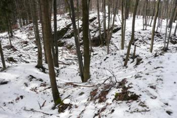 pohled přes pozůstatky oválné věže a příkop na předhradí na západě ( © Jan P. Štěpánek 03/2008)