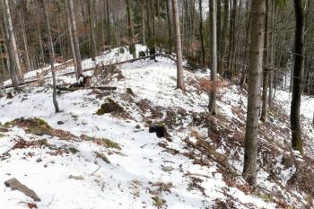 pohled z čela hradu na jeho celkovou plochu k východu ( © Jan P. Štěpánek 03/2008)