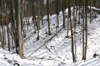 panorama pahorku jádra hradu od severozápadu ( © Jan P. Štěpánek 03/2008)