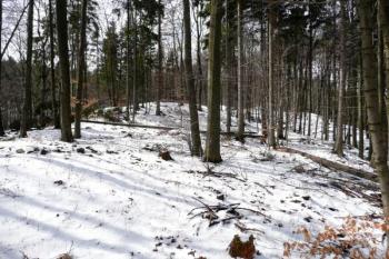 plocha jádra hradu od východu ( © Jan P. Štěpánek 03/2008)