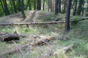 1 - JZ roh vnitřního hradu (© Tomáš Kyncl, 07/2008)