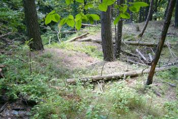 2 - JV roh vnitřního hradu (© Tomáš Kyncl, 07/2008)