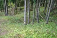 Rozpakov
