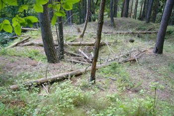 4 - Terénní nerovnosti J části vnitřního hradu (© Tomáš Kyncl, 07/2008)