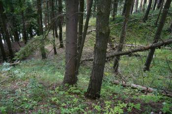 5 - Ústí hradního příkopu (© Tomáš Kyncl, 07/2008)