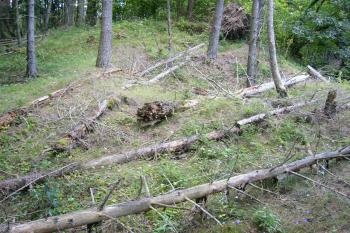 8 - Vyvýšenina v SV rohu vnitřního hradu (© Tomáš Kyncl, 07/2008)