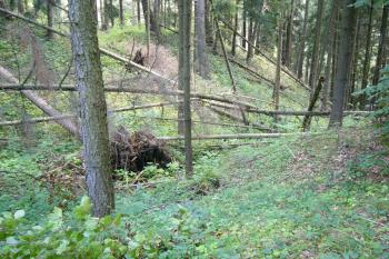 9 - Příkop (© Tomáš Kyncl, 07/2008)