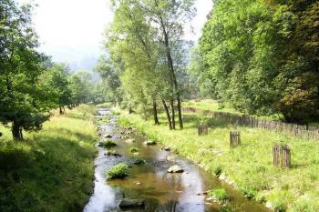 přes areál obory teče řeka Ondřejnice ( © Jan P. Štěpánek 08/2005)