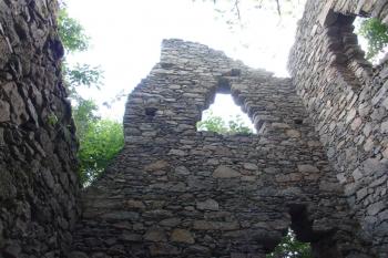  ( © Jiří Čížek 07/2010)