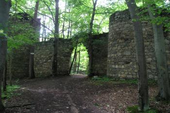 Ballymotte Prašivice (© No 666, 07/2010)