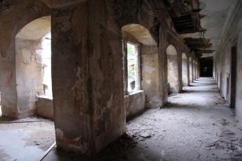  ( © Jiří Čížek 08/2005)