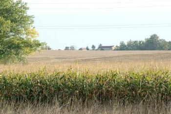 Pohled z jihovýchodního cípu hradiska ( © Ondřej Štěpánek 10/2005)