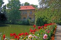 arboretum