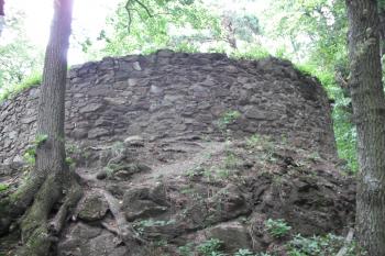  (© Nikola Mildová, 08/2011)