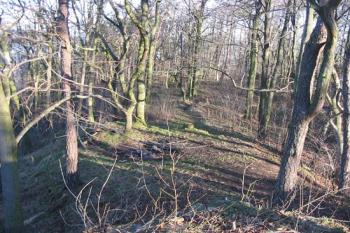 Areál hradu z věže ( © Jiří Čížek 03/2005)