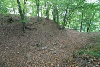 Severovýchodní nároží tvrziště - val a příkop ( © Filip Matoušek 09/2005)