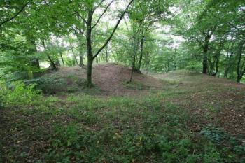 Centrální pahorek s malýni pozůstatky zdiva ( © Filip Matoušek 09/2005)