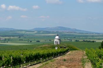 celkový pohled n pahorek tvrziště s kapličkou od vinic ( © Jan P. Štěpánek 07/2010)