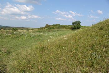 Severní část zarovnaného příkopu ( © Roman Řezáč 08/2005)