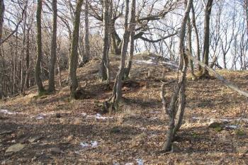 pohled na hradní pahorek (© Karel Světlík, 03/2010)