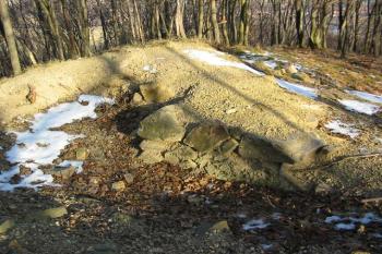 zbytky zdiva bergritu od západu (© Karel Světlík, 03/2010)