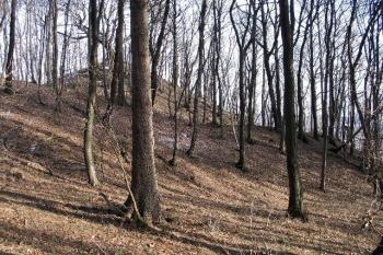 okružní příkop a val s částí hradního pahorku (© Karel Světlík, 03/2010)