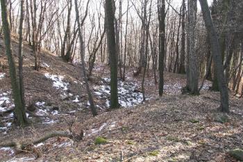 okružní příkop s valem (© Karel Světlík, 03/2010)