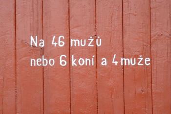 žel.vagon - detail (© Stanislav Brebera 09/2005)