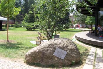 Pamětní kámen ozdobila i Hujerova švestička (© Ivo Rozehnal  07/2022)