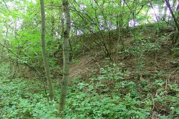 Východní val na vnější straně příkopu ( © Roman Řezáč 09/2005)