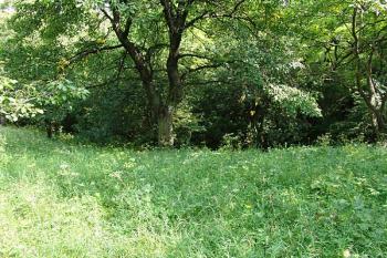 Pohled z pokračující planiny na jihozápadní zaoblení příkopu ( © Roman Řezáč 09/2005)