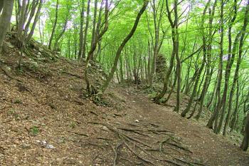 Místo pravděpodobné brány do předhradí ( © Roman Řezáč 09/2005)