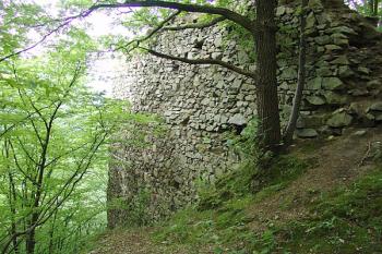 Zbytky zdiva v čele předhradí ( © Roman Řezáč 09/2005)
