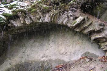 klenba místnosti stojící při severní hradbě na rozhraní předhradí a dolní části vnitřního hradu ( © Jan P. Štěpánek 11/2007)