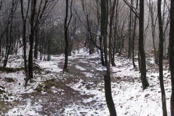 celkový pohled na plochu předhradí od západu, z místa brány do dolního hradu ( © Jan P. Štěpánek 11/2007)