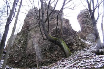 pohled na severní stěnu nejstaršího gotického paláce s oválnou věžicí (pilířem) ( © Jan P. Štěpánek 11/2007)