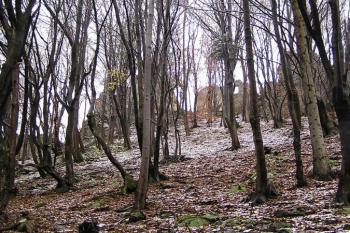 pohled k hradnímu jádru od severu ( © Jan P. Štěpánek 11/2007)