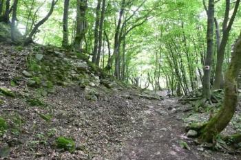 pohled od přístupu do místa bývalé vstupní brány předhradí ( © Jan P. Štěpánek 06/2010)