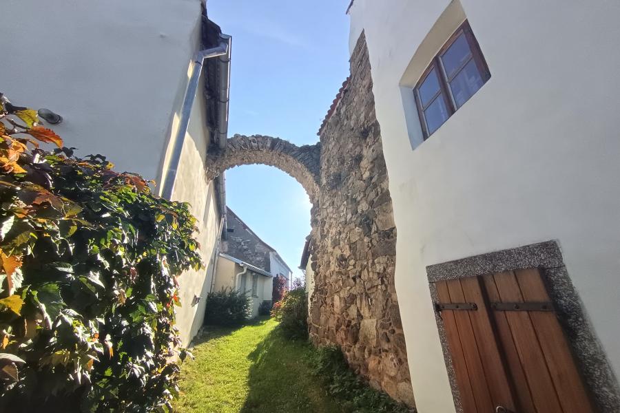  Myšenec