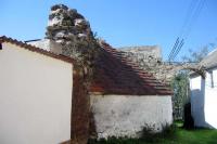 Myšenec