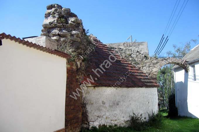 Myšenec Myšenec