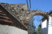 Myšenec