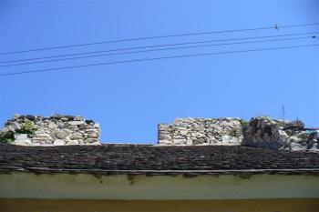 zbytky zdiva paláce (© zdeněk komínek,5/2009)