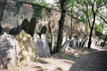  (© radek dohnálek 08/2005)