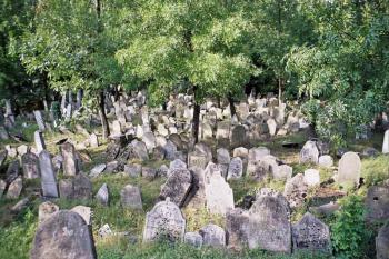  (© radek dohnálek 08/2005)