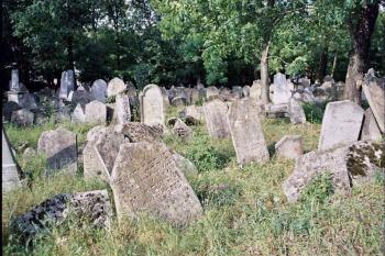  (© radek dohnálek 08/2005)
