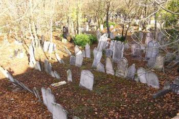 Slunečný podzimní den (© Jan P. Štěpánek 2005)