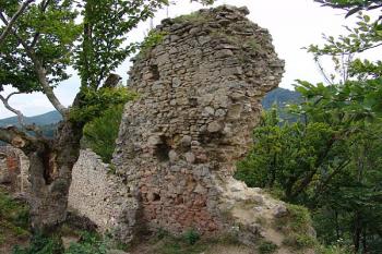 Zbytky zdí horního paláce ( © Roman Řezáč 09/2005)